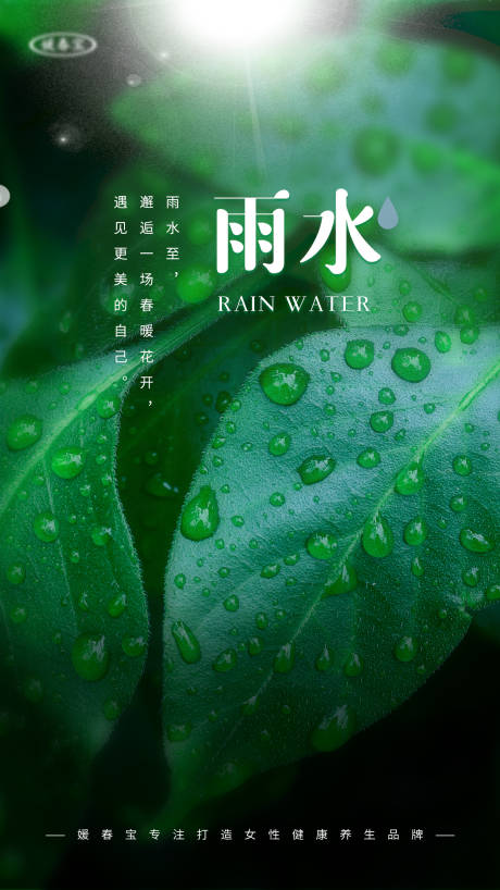 源文件下载【雨水海报】编号：72840009335342343