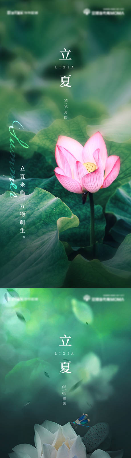 源文件下载【享设计】搜索编号：28750009720851753【地产立夏节气系列海报】