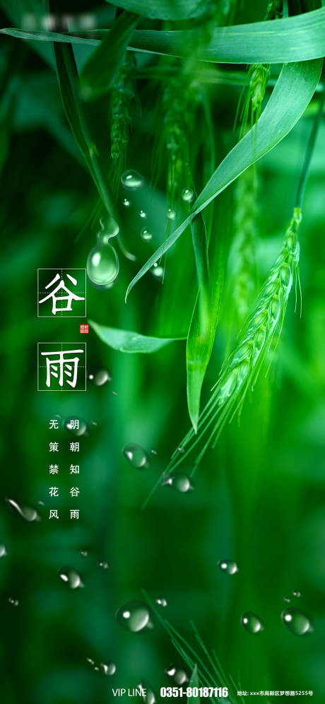 源文件下載【享設計】搜索編號：24500009318634342【谷雨海報】
