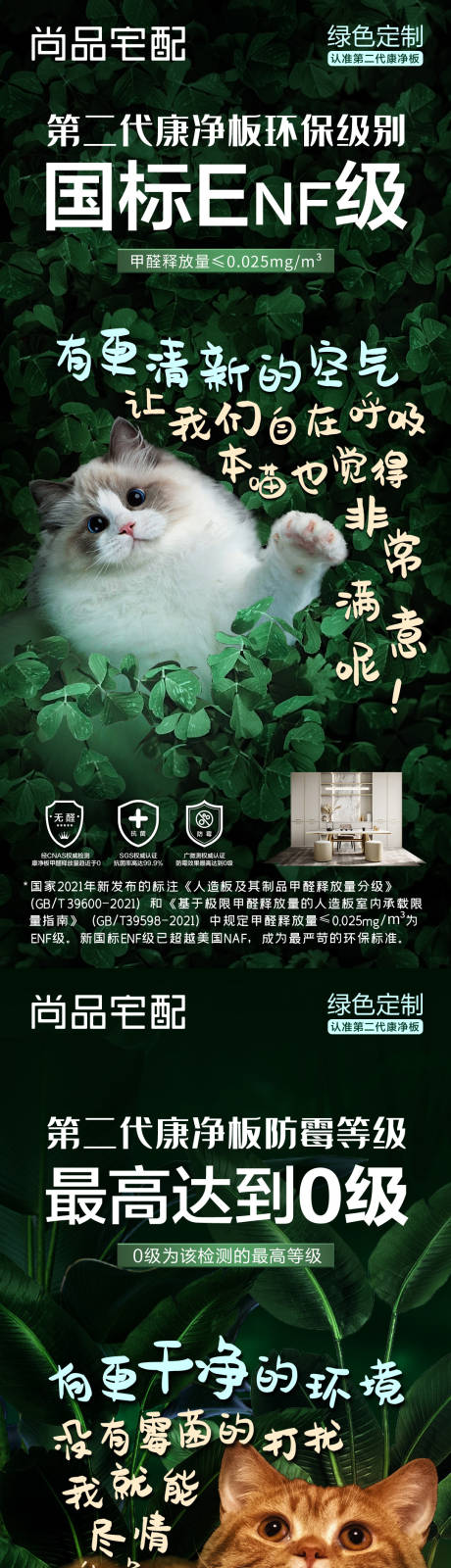 猫咪净醛板产品系列海报