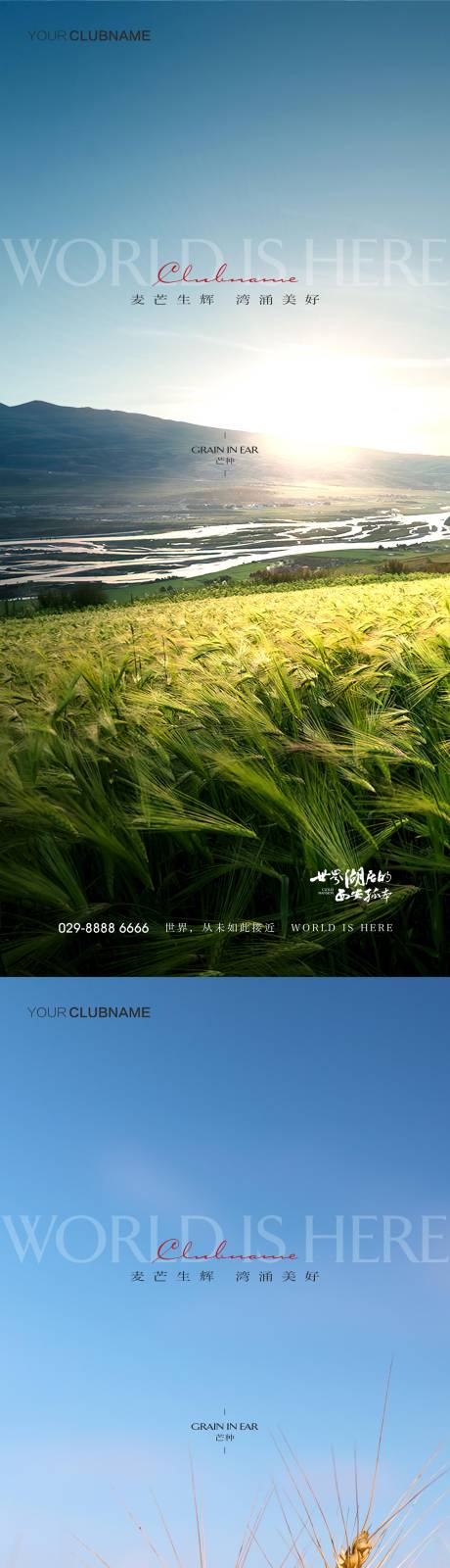 源文件下载【芒种地产节气】编号：57680009660935641