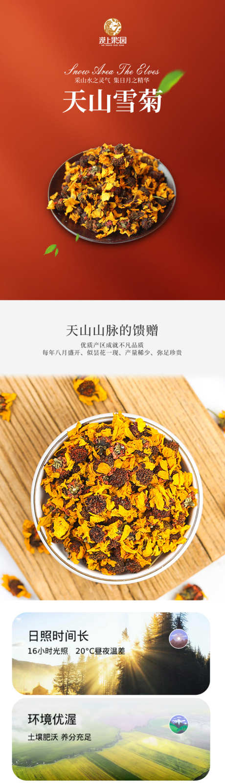 源文件下載【享設(shè)計(jì)】搜索編號(hào)：78820009551896818【天山雪菊詳情頁(yè)】