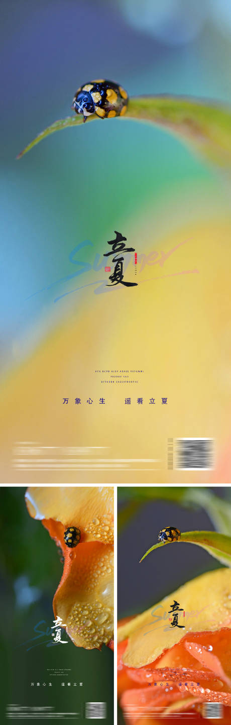 源文件下载【立夏节气海报】编号：49750009509487804