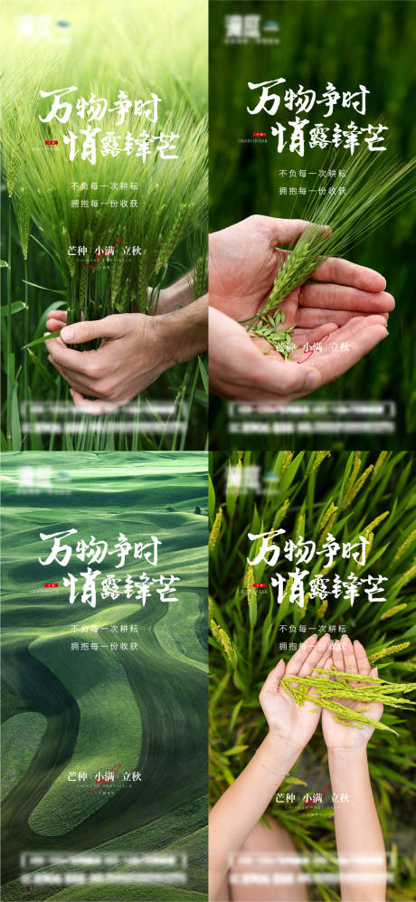 源文件下载【芒种小满立秋节气系列海报】编号：61610010193152295