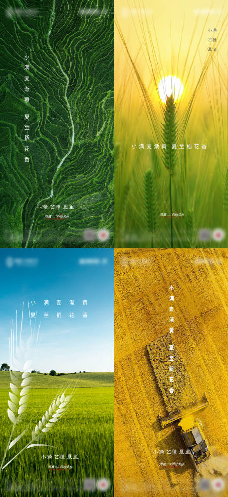 源文件下载【享设计】搜索编号：68730009958944606【小满芒种夏至节气系列海报】