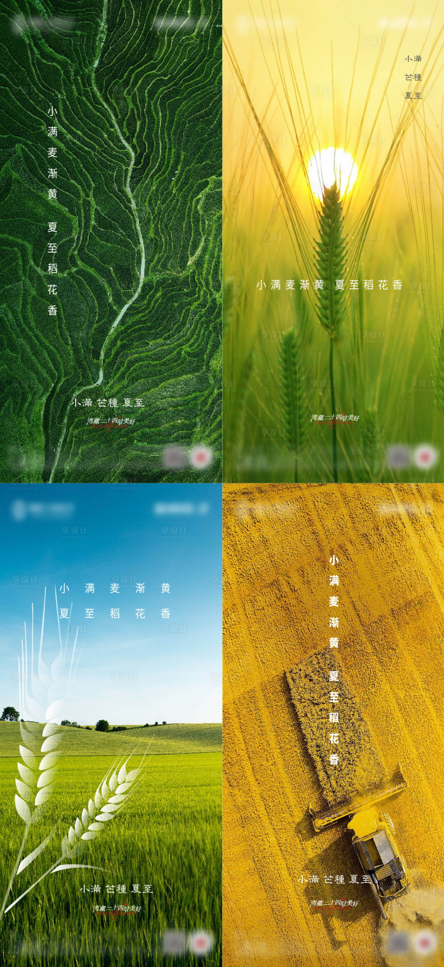 源文件下載【享設計】搜索編號：68730009958944606【小滿芒種夏至節氣系列海報】