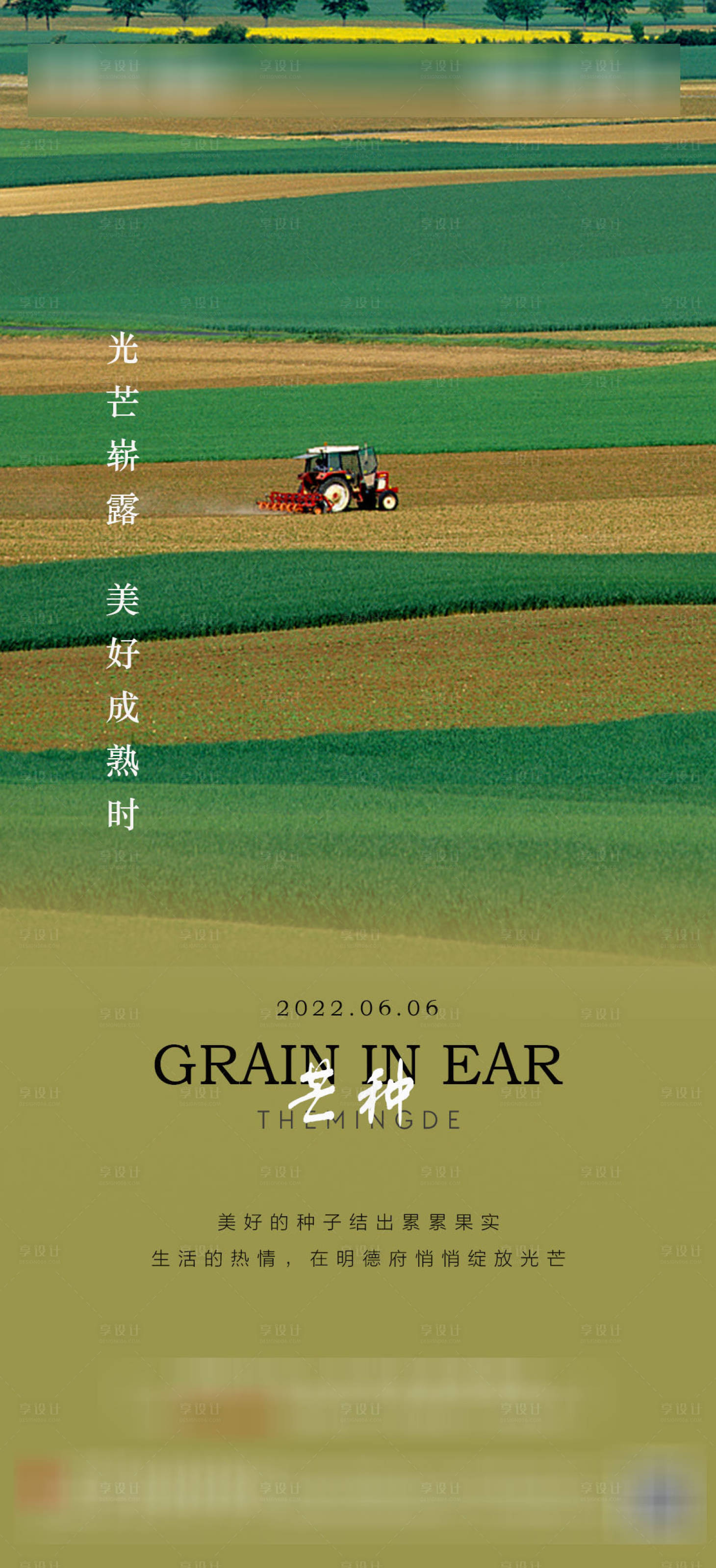 源文件下载【享设计】搜索编号：67180010270344288【节气芒种】