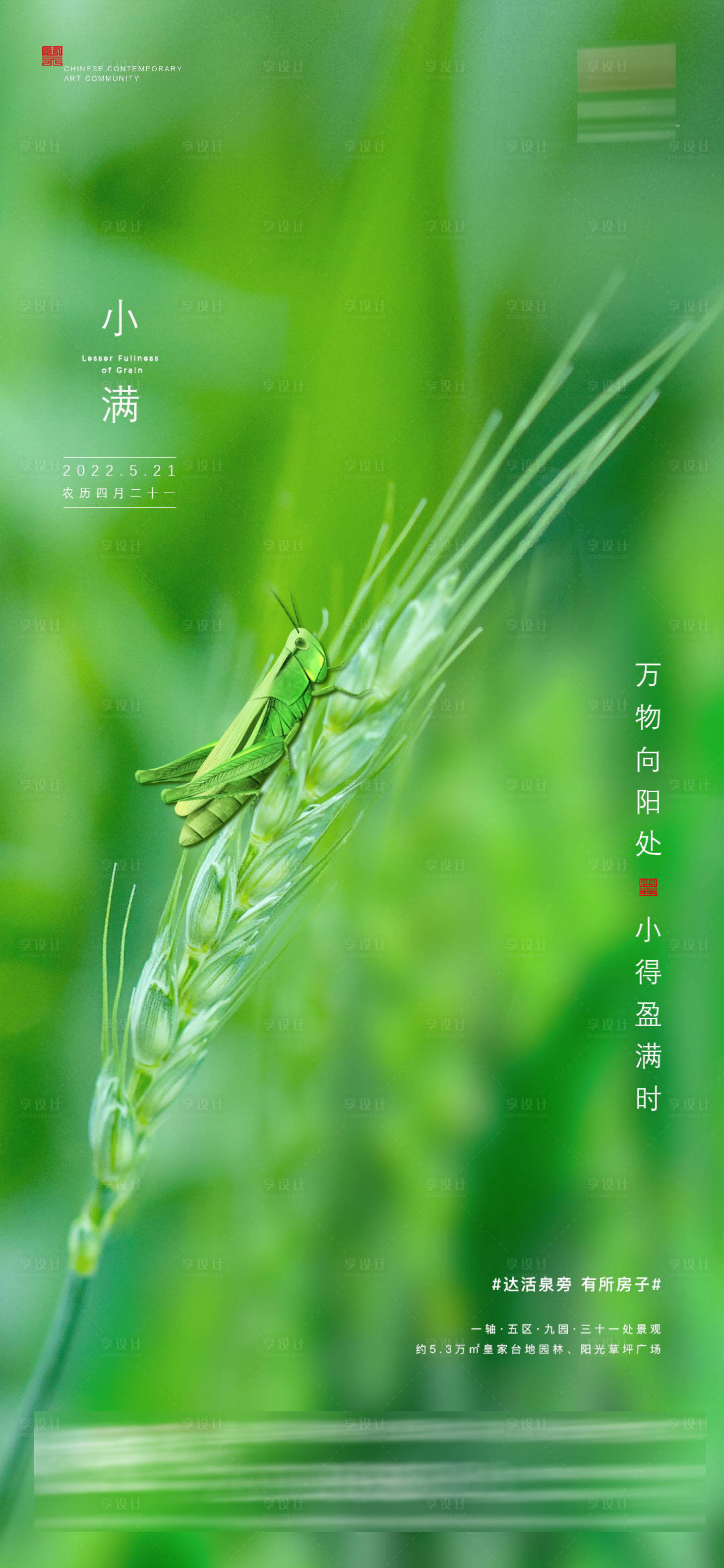 源文件下載【小滿節氣海報】編號：89050010000785195