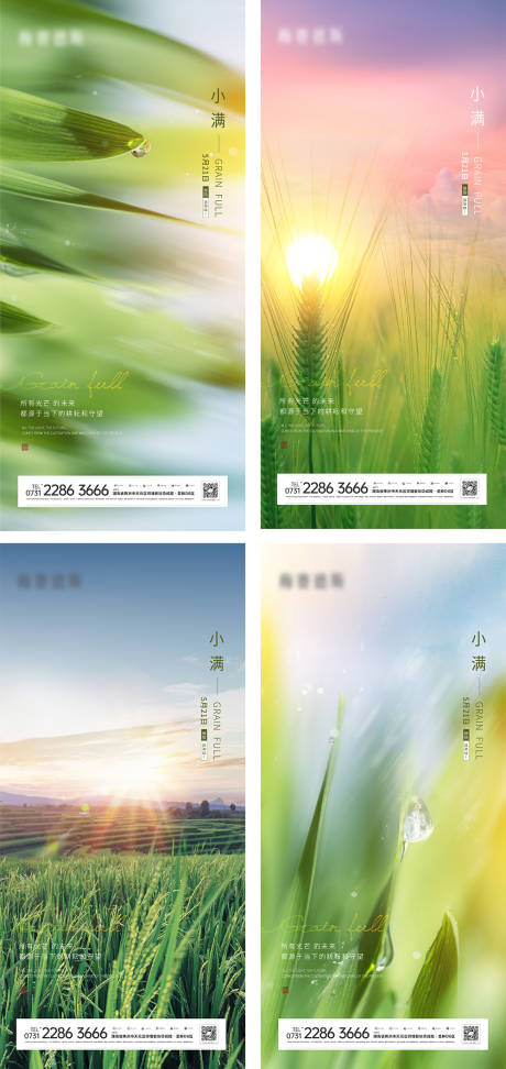 源文件下载【小满节气刷屏】编号：25890009912603276