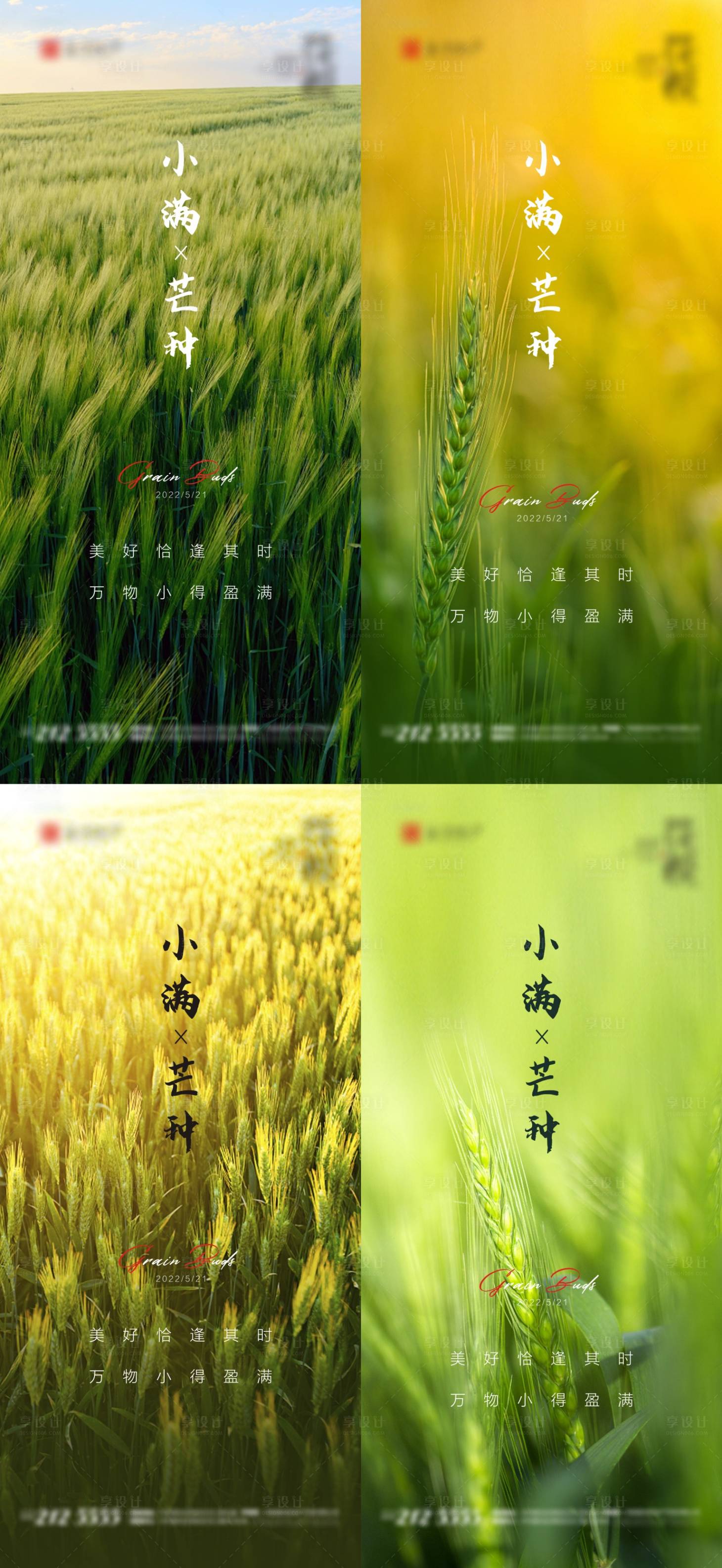 源文件下载【小满节气海报】编号：78950010014735616