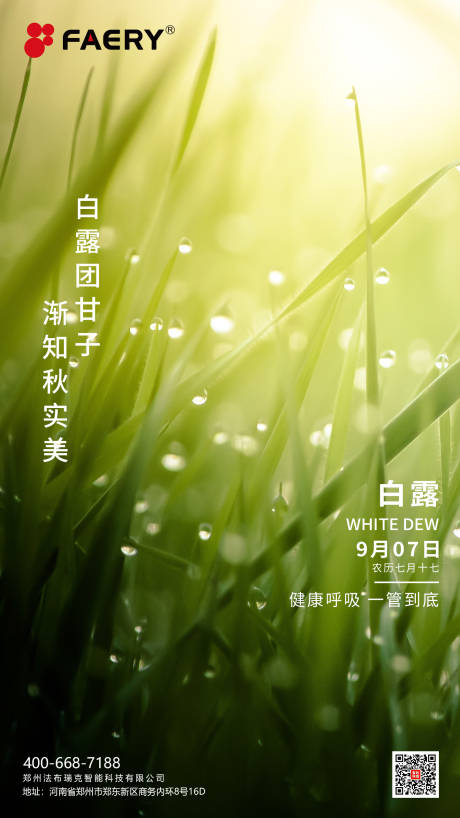 源文件下載【享設計】搜索編號：57890010218782438【白露海報】