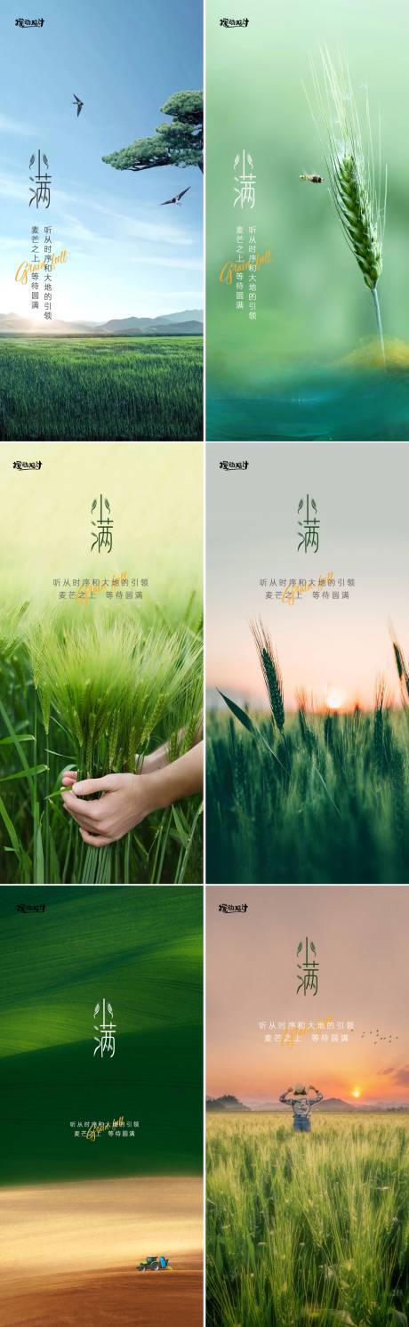 源文件下載【小滿系列海報】編號：33320009846227017