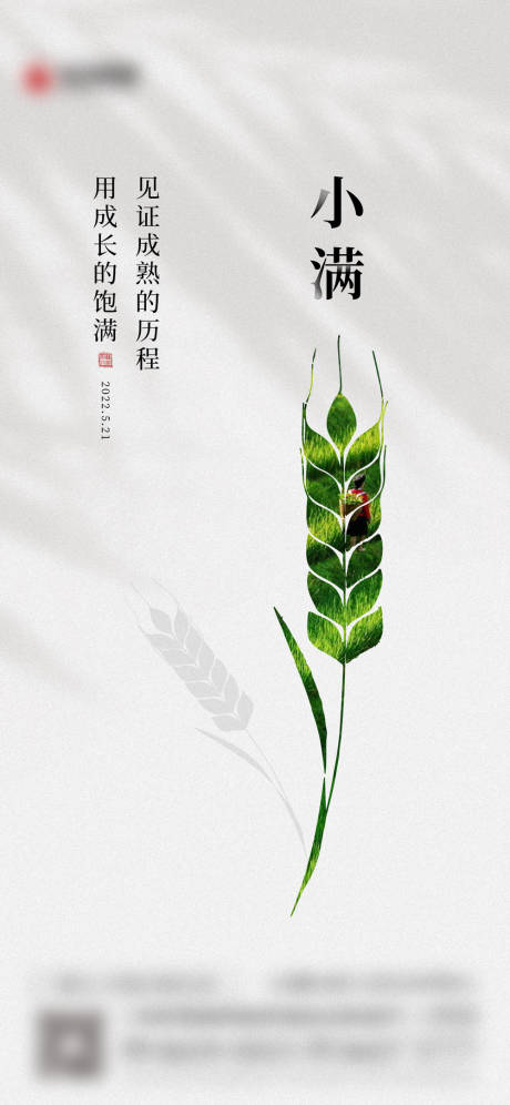 源文件下载【地产小满海报】编号：93460010143669599