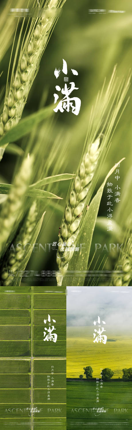 源文件下载【享设计】搜索编号：11500009799019127【二十四节气小满海报】