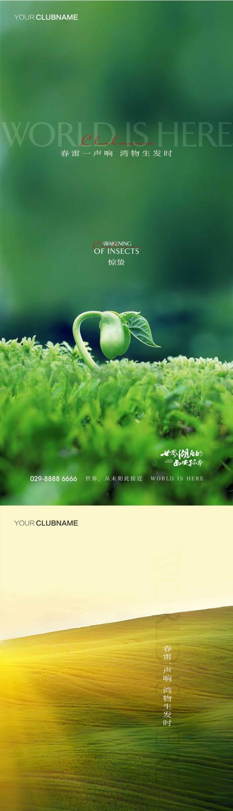 源文件下载【惊蛰节气海报】编号：79990009802686385