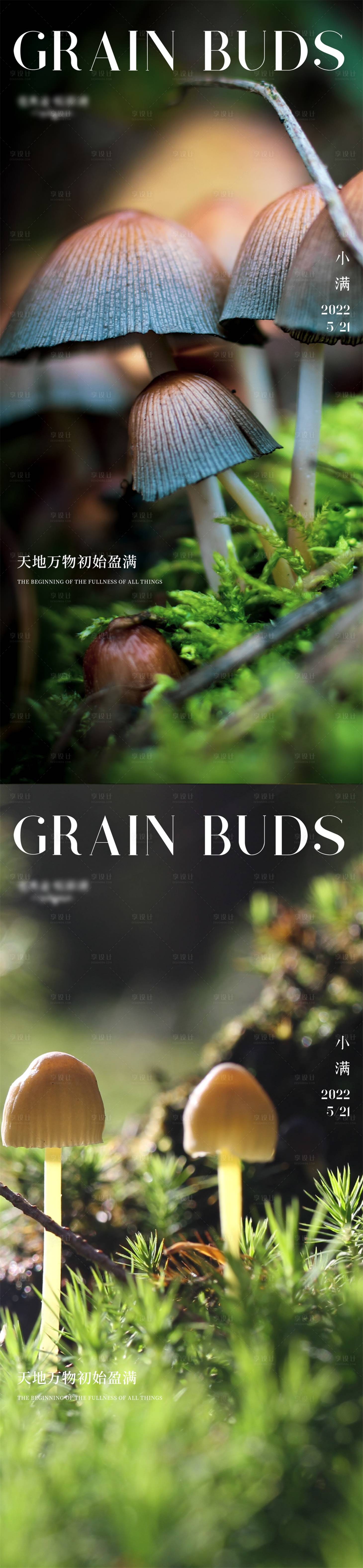 源文件下载【小满杂志风清新简约系列海报】编号：88290009854988348