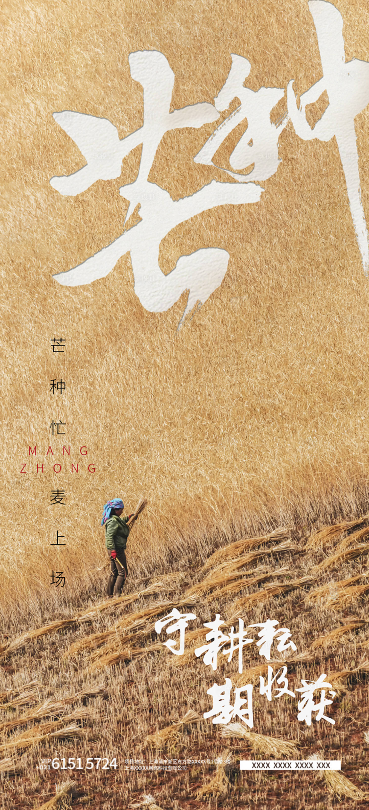 源文件下载【芒种节气分享海报】编号：43020010299661043