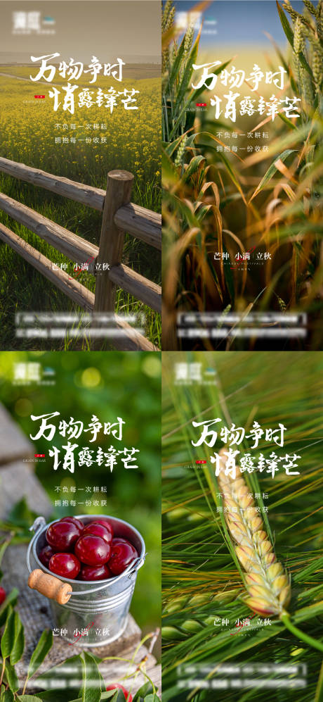 源文件下载【芒种小满立秋节气系列海报】编号：92390010193135751