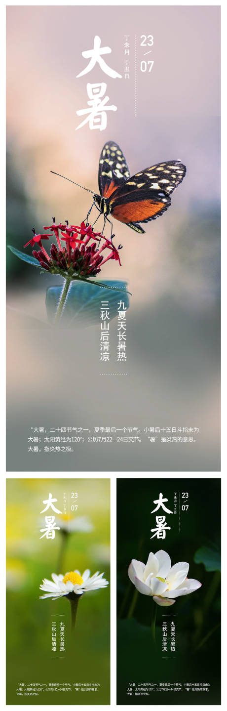 源文件下载【24节气系列海报大暑二十四节气1】编号：60530010138197225