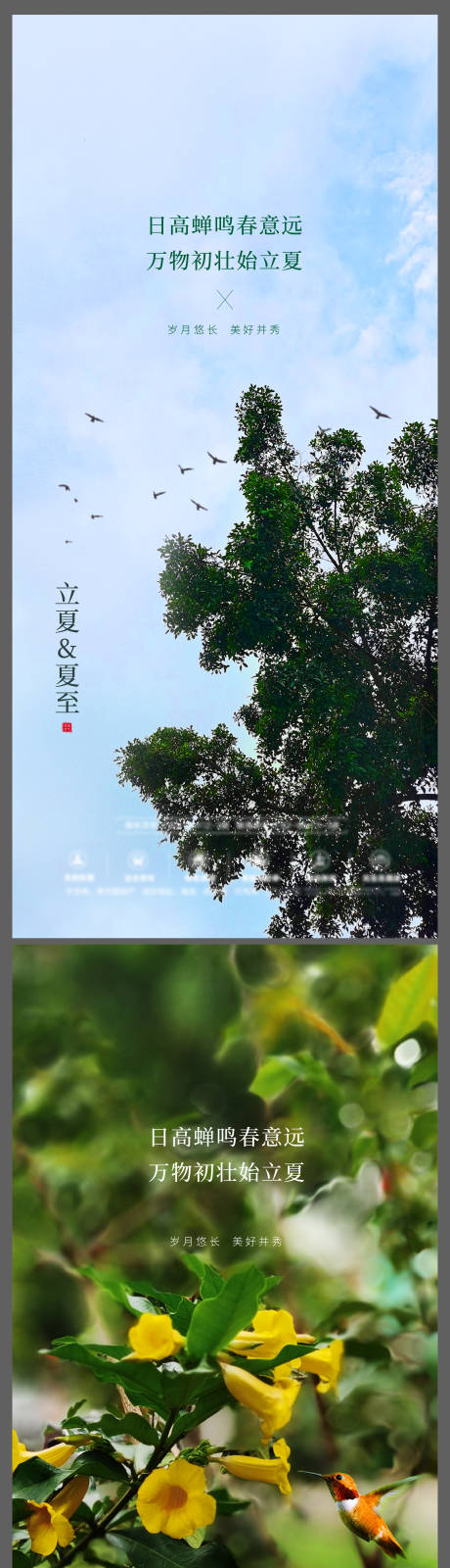 源文件下載【享設(shè)計】搜索編號：62460009888814007【立夏&夏至傳統(tǒng)節(jié)氣】
