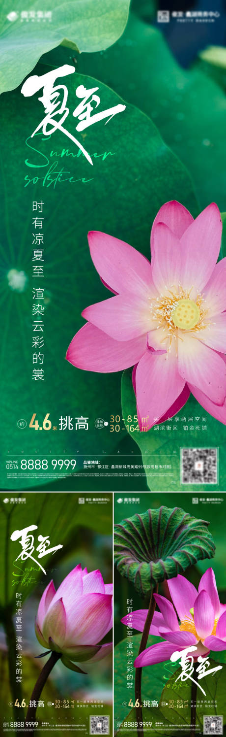 源文件下载【夏至荷塘系列海报】编号：98240010177826024