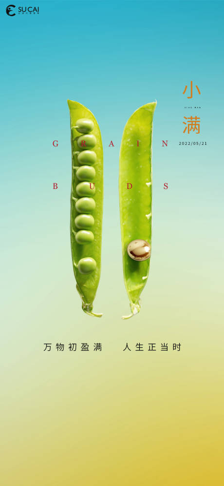 源文件下载【享设计】搜索编号：44630009950743159【小满】