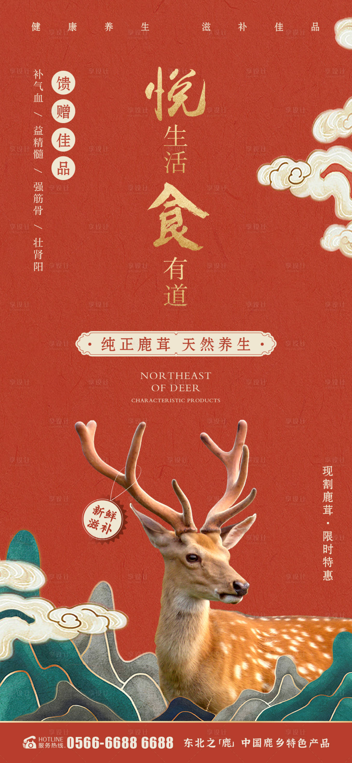 源文件下载【享设计】搜索编号：84590009856851157【养生鹿茸海报】