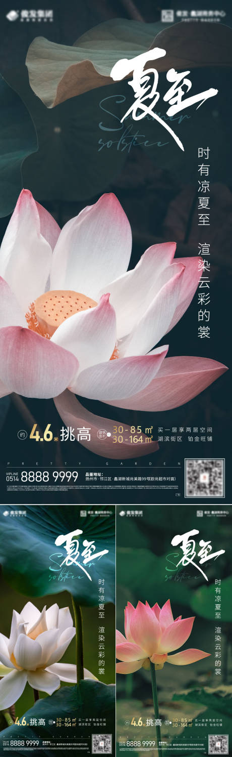 源文件下载【夏至荷花海报】编号：96420010183609760