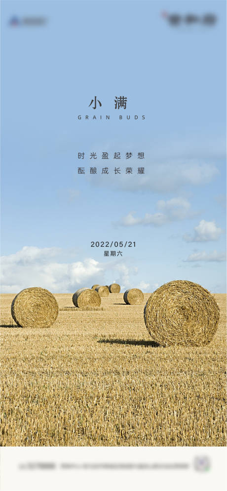 源文件下载【房地产二十四节气小满海报】编号：76830009900707440