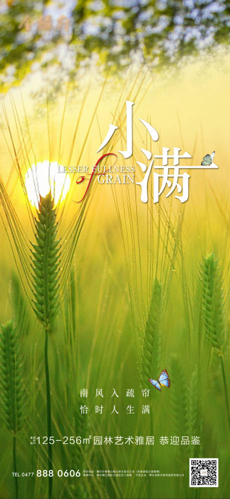 源文件下载【地产小满节气海报】编号：95370009959286400