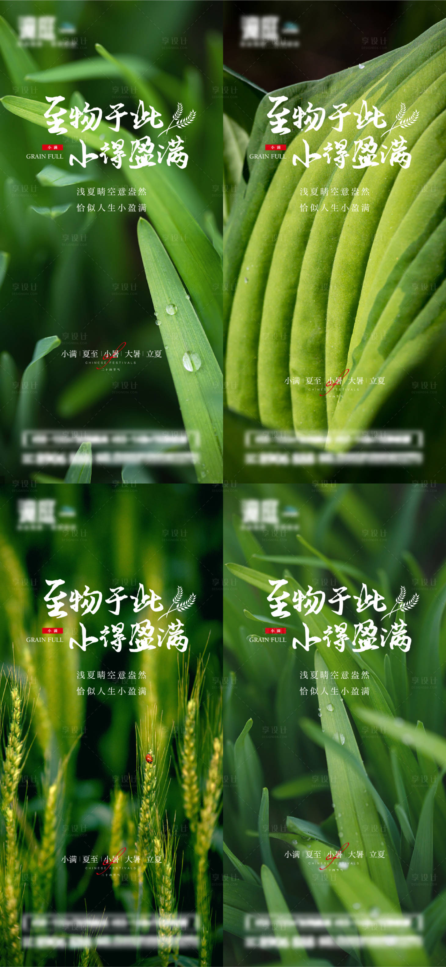 源文件下載【小滿夏至小暑大暑立夏節氣系列海報】編號：63880010010375105