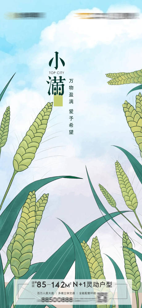 源文件下载【地产小满节气海报】编号：82570009887391489
