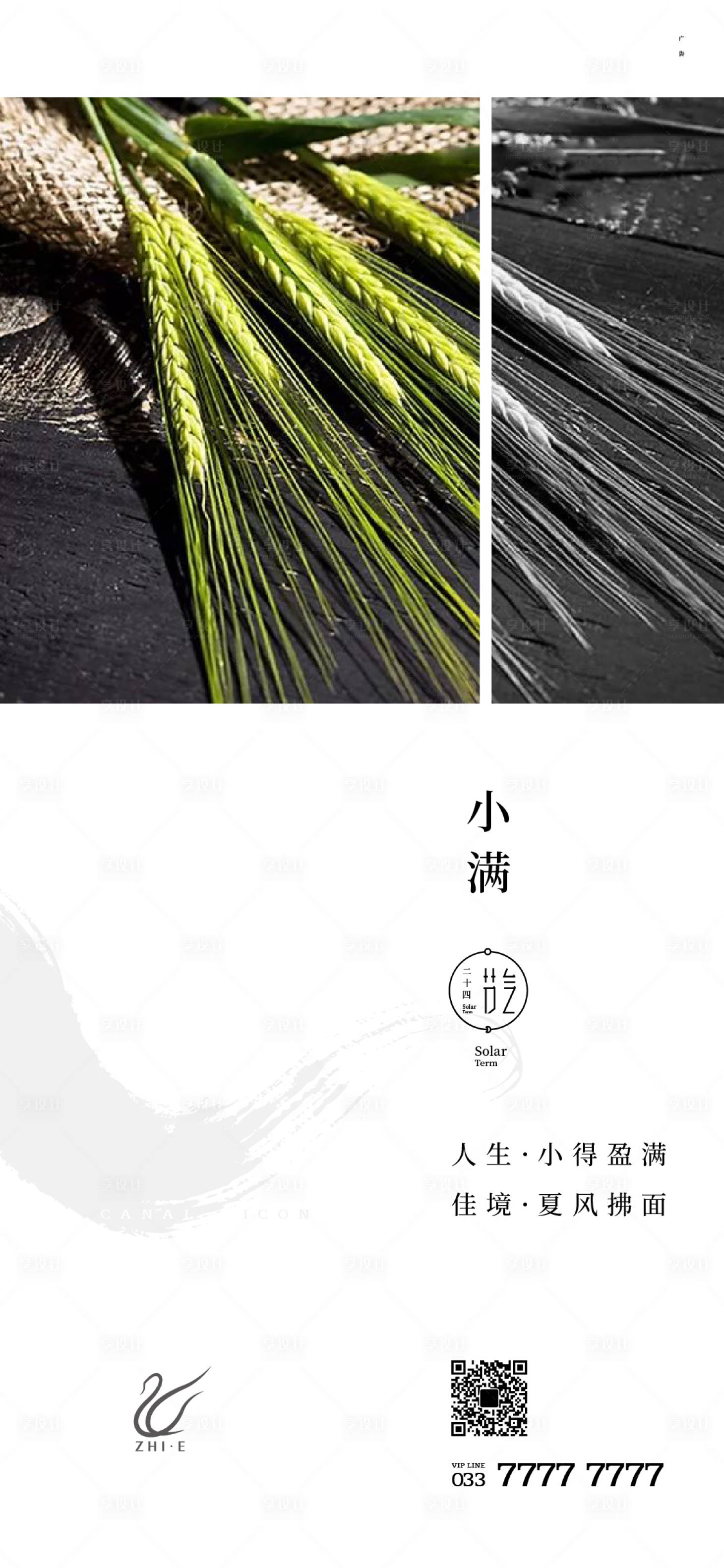 源文件下载【小满节气海报】编号：39120010070935147