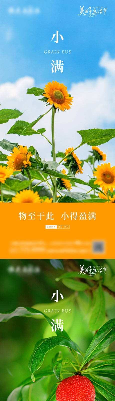 源文件下载【24节气小满】编号：94770009842256561