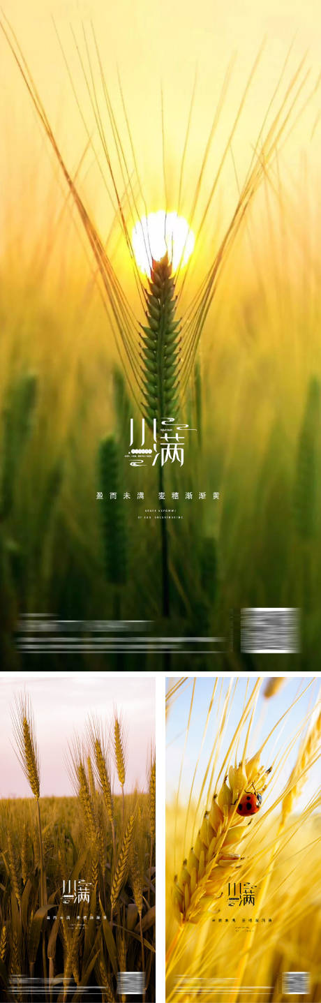 源文件下载【小满节气系列海报】编号：89150009774447673