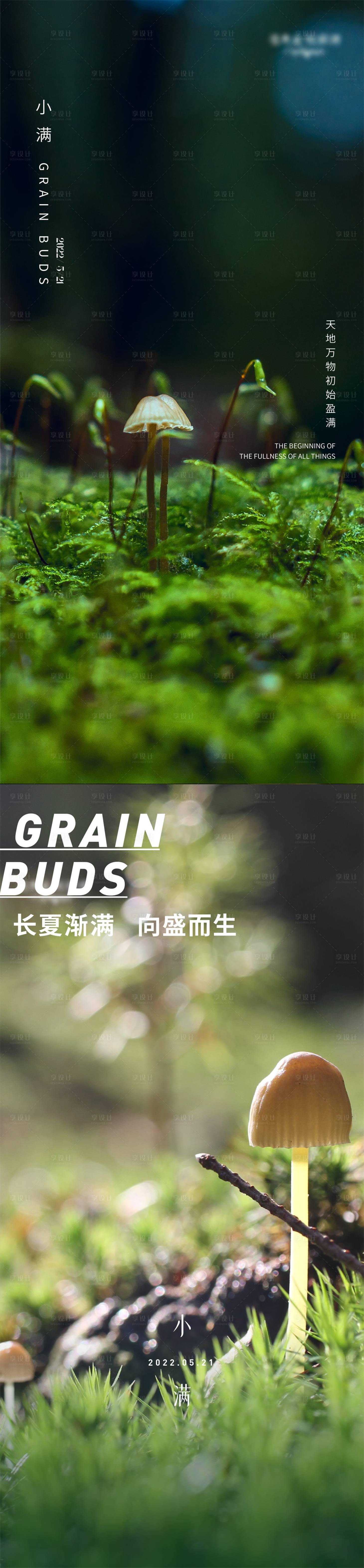 源文件下載【享設計】搜索編號：95060009854569986【小滿蘑菇新生清新簡約系列海報】