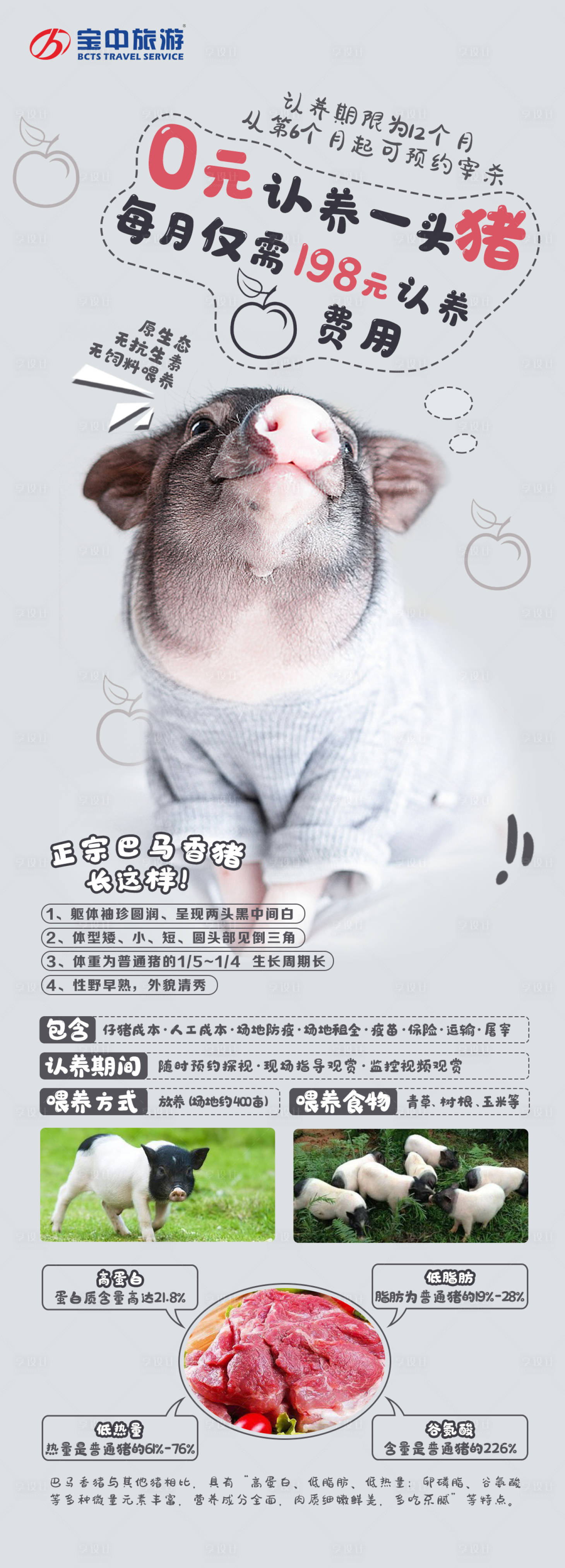 源文件下载【认养香猪活动稿】编号：80170010154272624