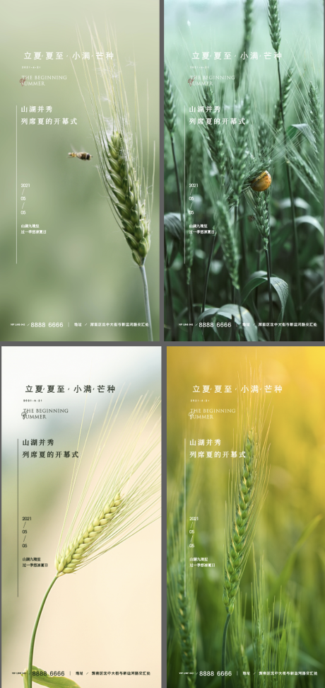 源文件下載【享設(shè)計】搜索編號：75060009896083079【小滿節(jié)氣系列海報】