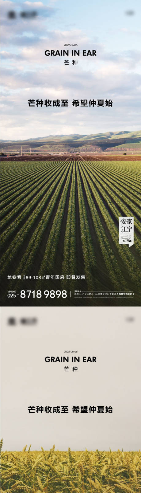 源文件下载【芒种节气系列海报】编号：80260010294377013