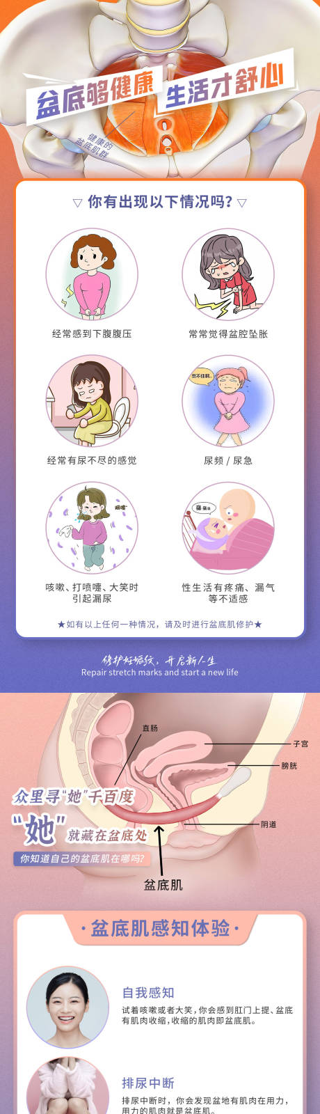 女性产后盆底肌健康海报-源文件【享设计】