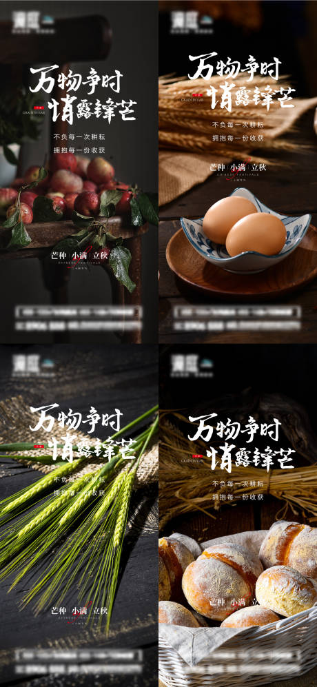 源文件下载【芒种小满立秋节气系列海报】编号：88030010193267561