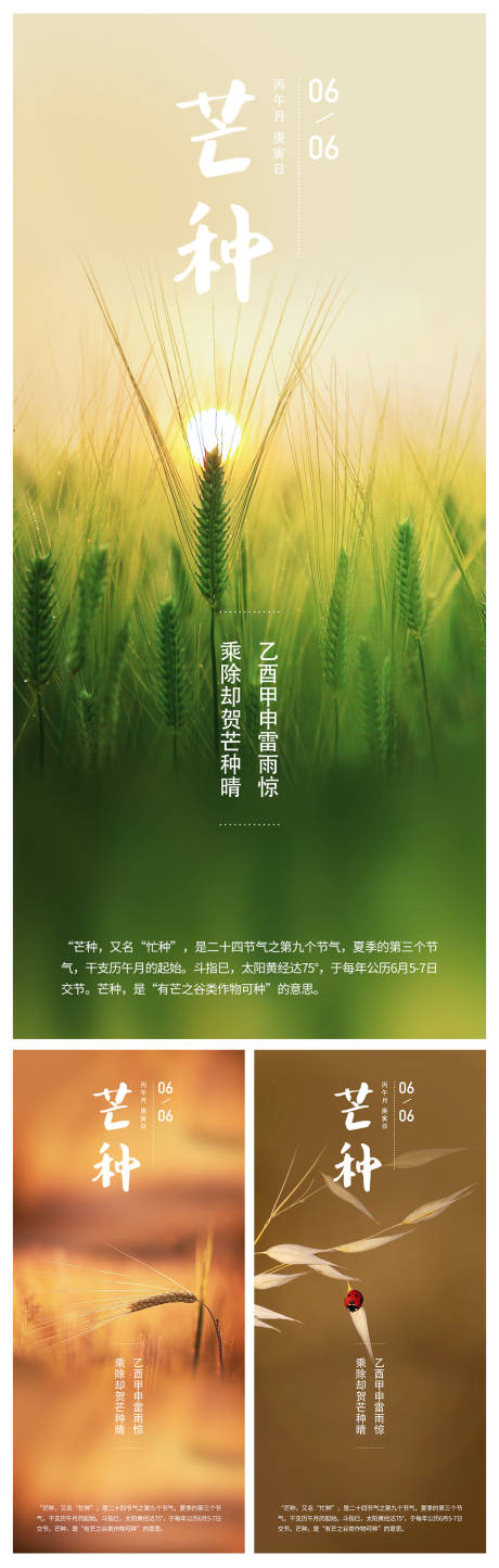 源文件下載【芒種系列海報】編號：43210010044919120