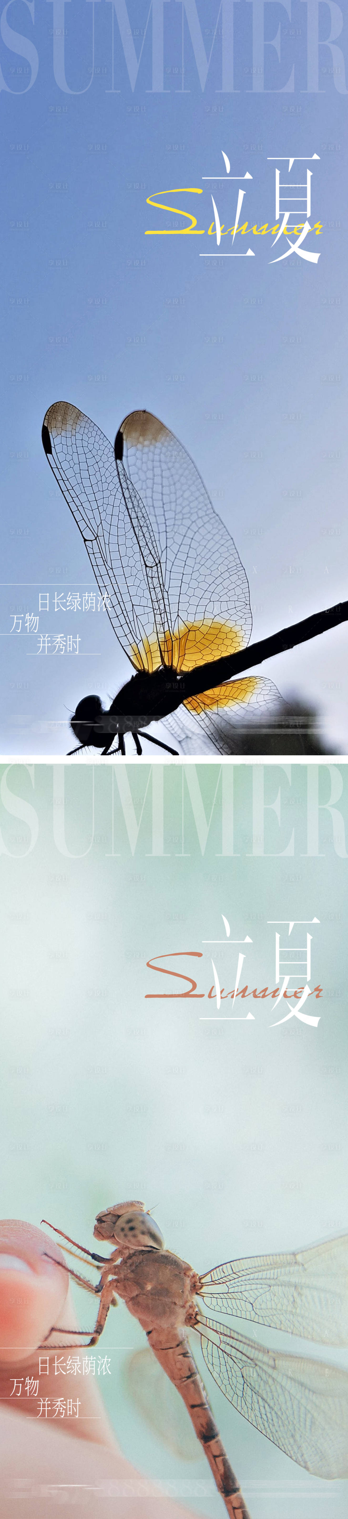 源文件下載【立夏節氣系列海報】編號：58830009794569113