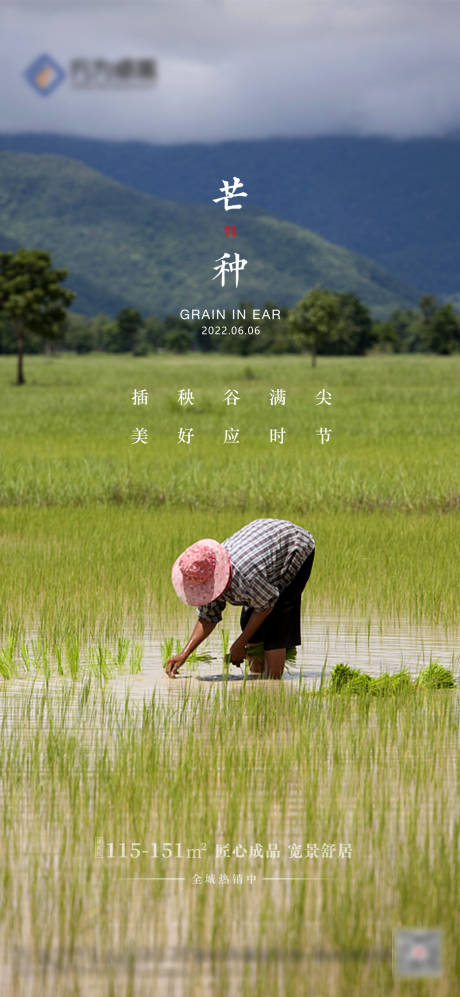 源文件下载【享设计】搜索编号：54080010289478262【芒种节气海报】