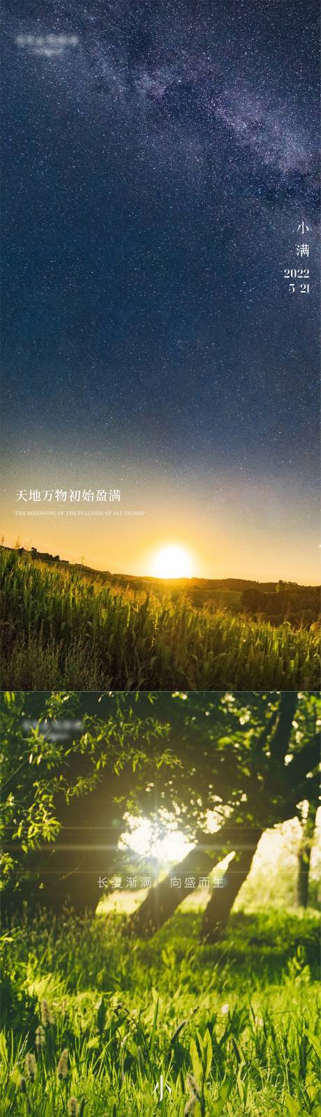 源文件下载【小满节气星空麦田简约系列海报】编号：20220506170544615