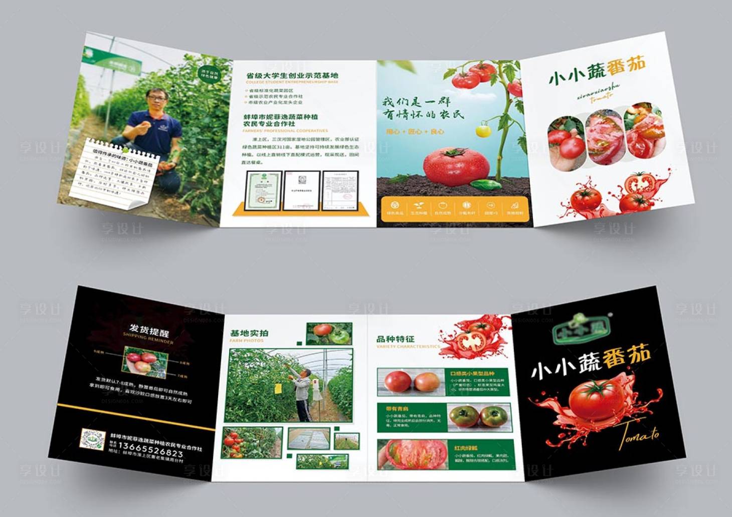 源文件下載【享設(shè)計】搜索編號：15850009893044774【蔬菜番茄四折頁】