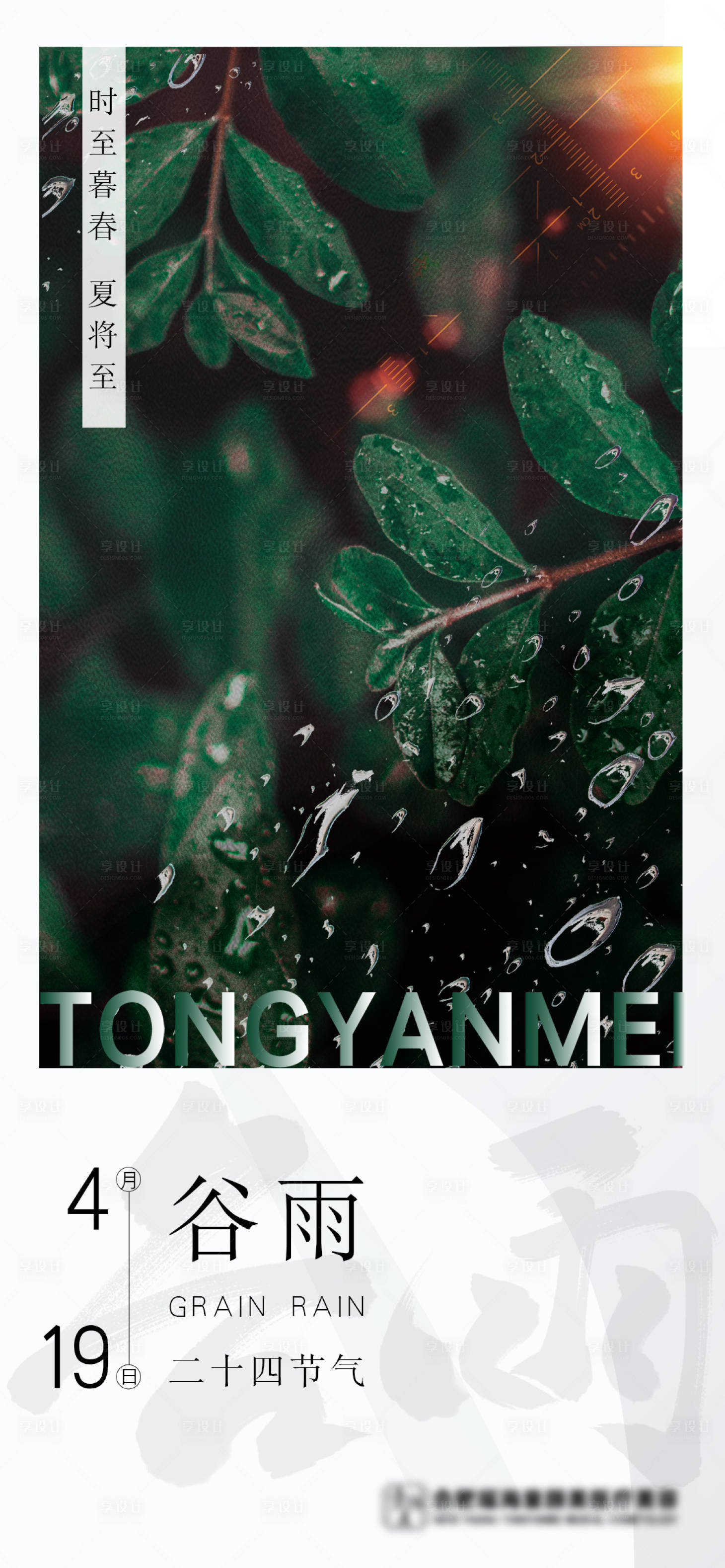 源文件下载【享设计】搜索编号：55780010209257448【谷雨海报】