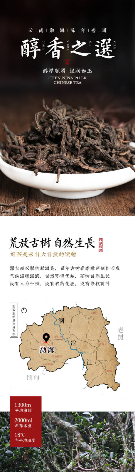 源文件下载【陈年普洱茶详情页】编号：56660009916951325