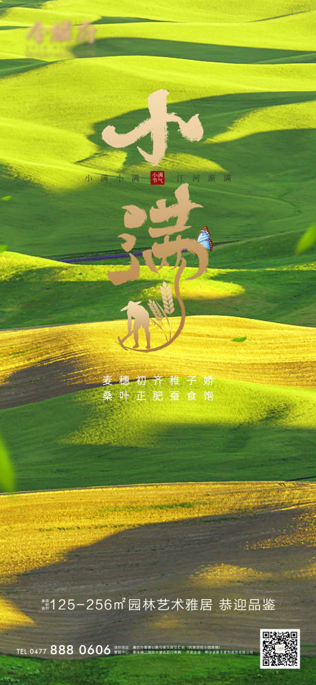 源文件下载【地产小满节气海报】编号：87450009960159115