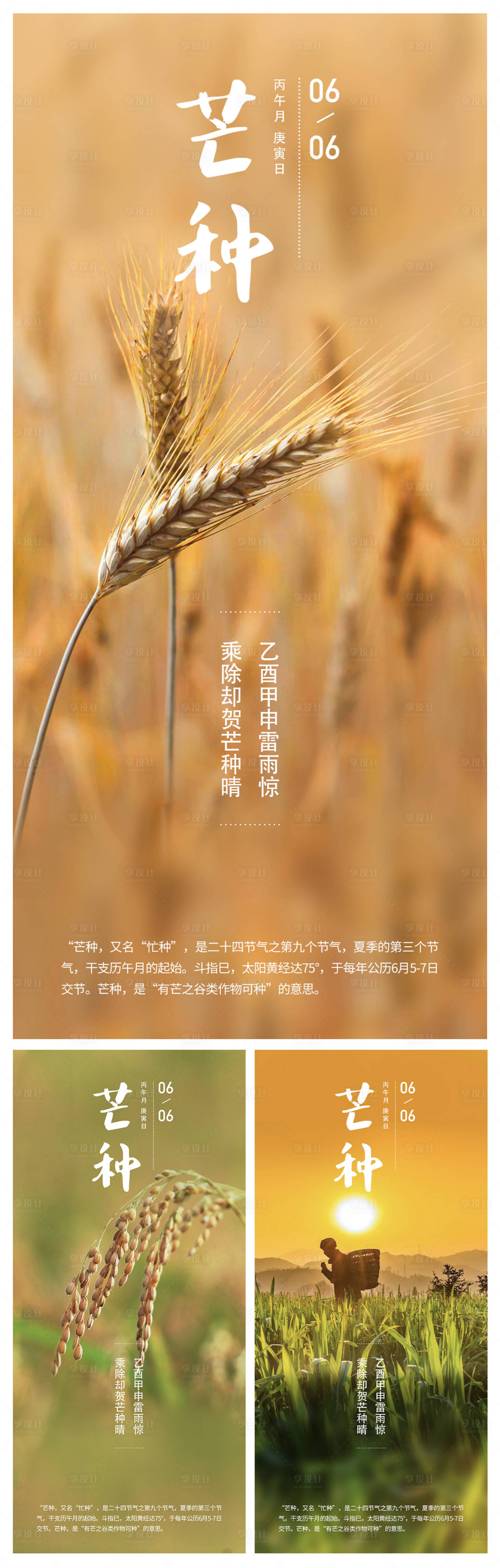 源文件下載【享設(shè)計】搜索編號：20570010044959241【二十四節(jié)氣芒種系列海報】